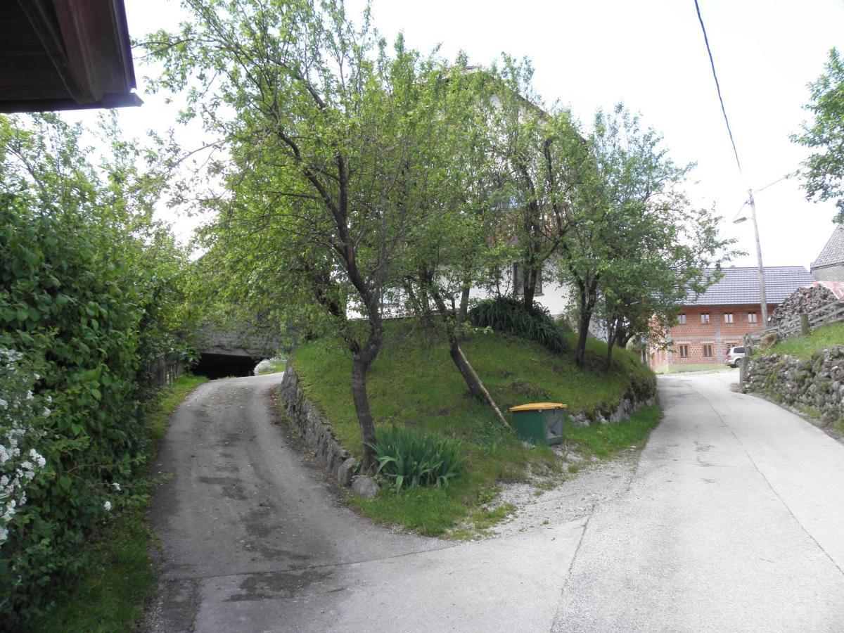 Апартаменты Pr' Hribar Згорнье-Горье Экстерьер фото